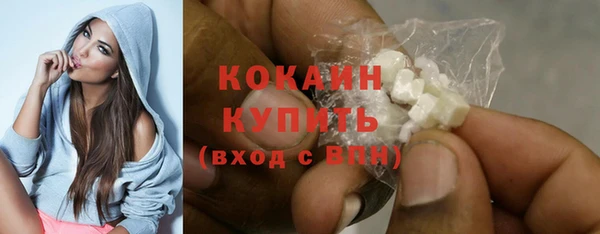 шишки Семилуки