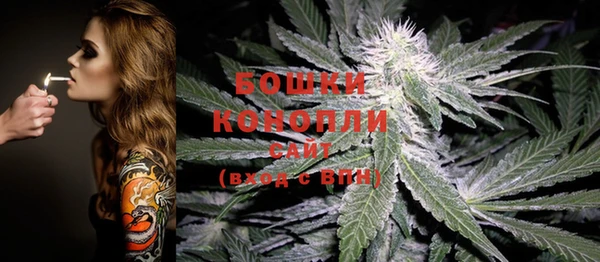 гидра Белоозёрский
