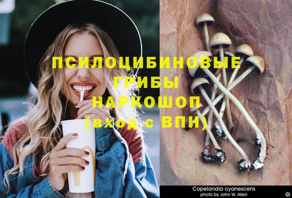 гидра Белоозёрский