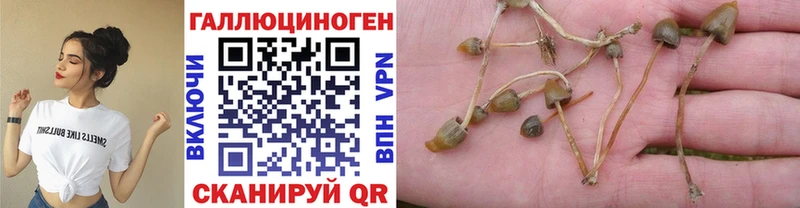 Галлюциногенные грибы мицелий  Бородино 